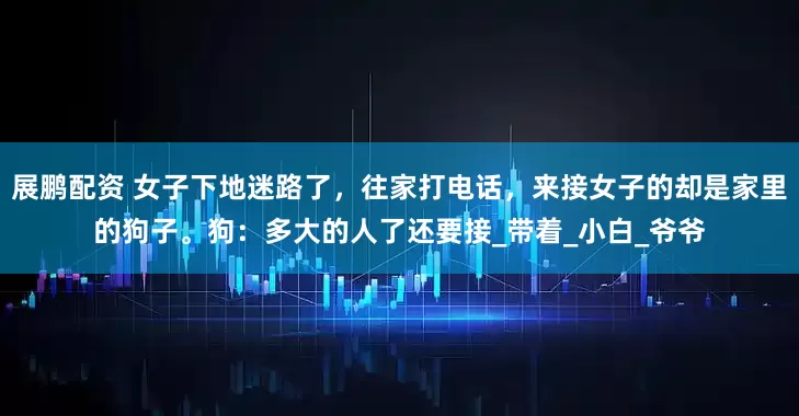 展鹏配资 女子下地迷路了，往家打电话，来接女子的却是家里的狗子。狗：多大的人了还要接_带着_小白_爷爷